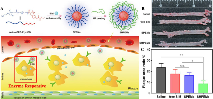 Activity-Based Imaging of Lipid Environments Targeted by Peroxynitrite in  Biomimetic Vesicles and Live Cells