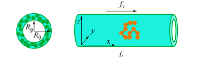 A Simple and Effective Boundary Model in Nonequilibrium Molecular ...