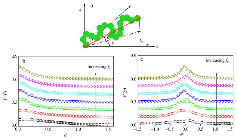 A Simple and Effective Boundary Model in Nonequilibrium Molecular ...