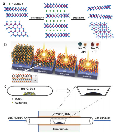 Recent Progress on Two-Dimensional Materials