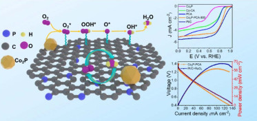 Co 2 P@P-Doped 3D Porous Carbon for Bifunctional Oxygen Electrocatalysis